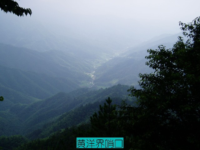 点击新窗口打开大图